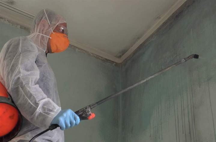 Solutions de désinfection pour tous types de locaux